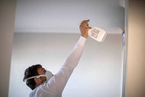 Best Home Mold Removal  in Issaquah, WA