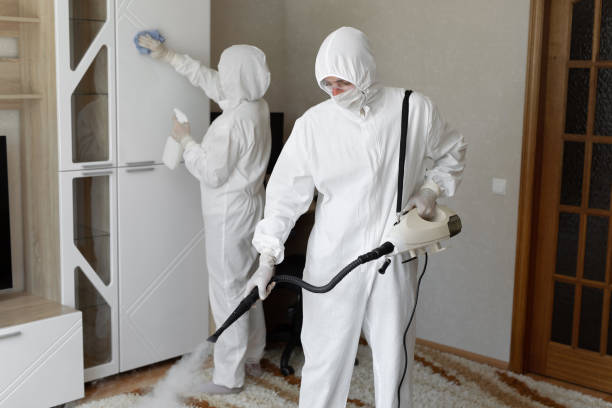 Professional Mold Removal in Issaquah, WA