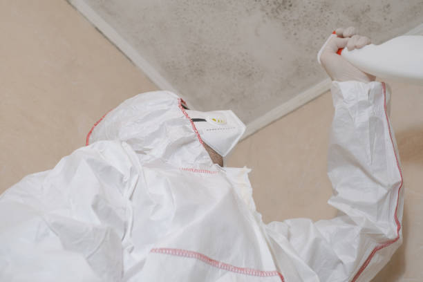 Mold Testing and Removal in Issaquah, WA